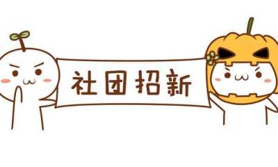 新高考开社团课什么用