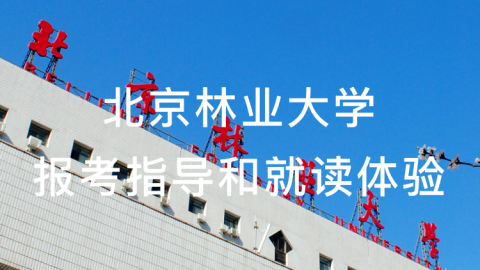北京林业大学报考指导和就读体验