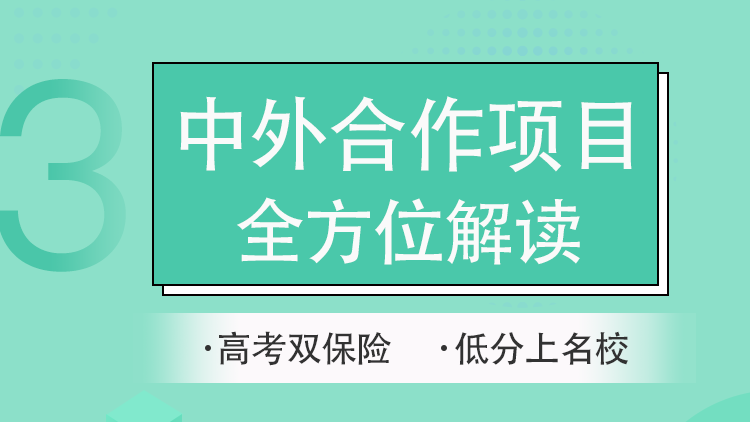 中外合作项目全方位解读（2）