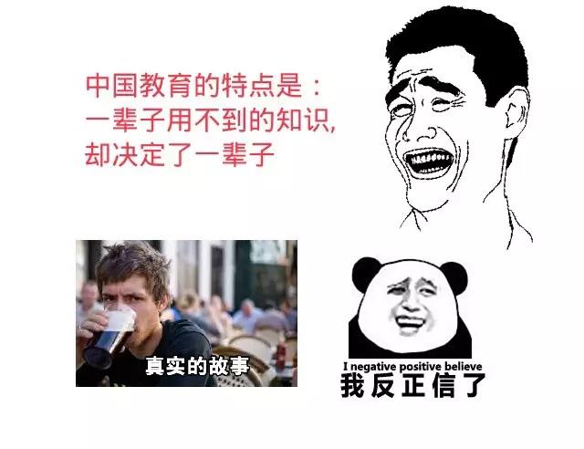 t01b02f333dcc684b7c.jpg