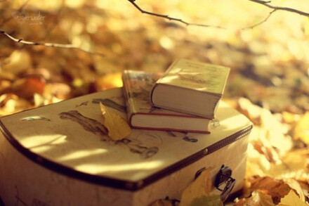20111125232643_uYhQJ.jpg